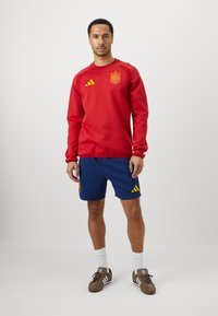 Sarkans džemperis ar dzelteno logo un akcentiem, apvienots ar zilām šortiem, kuriem ir dzelteni svītriņas. Brūnas kurpes un baltas zeķes noslēdz apģērbu.