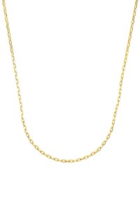 Guldkedja med ett delikat mönster av sammanlänkade rektangulära länkar, slät yta och en jämn guldfinish.