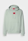 DARATSCHI - Jersey con capucha - light pastel green