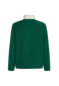 Groene longsleeve met hoge nek, voorzien van een contrasterende crèmekleurige kraag. Soepele textuur, eenvoudig ontwerp en rechte snit.
