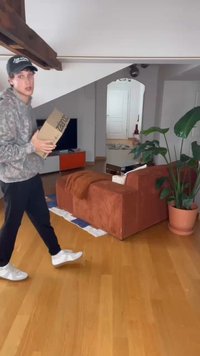 Sofa castanho riscado, grande planta verde, chão de madeira, caixa de cartão na mão, decoração minimalista, TV montada na parede e porta de fundo.