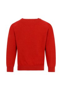 Pull en laine rouge tricoté avec des manches longues, un col rond, des poignets et un ourlet côtelés. Texture lisse, design simple sans motifs ou accents supplémentaires.