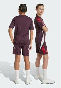 adidas Performance - Krótkie spodenki sportowe