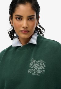 Felpa verde con scollatura a girocollo e grafica di una montagna. Indossata sopra una camicia con colletto a righe blu e bianche. Il materiale è cotone testurizzato.