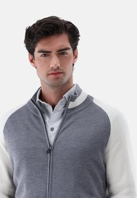 Grauer Zip-Up-Pullover mit gerippten weißen Ärmeln, ausgestattet mit einem Kragen und über einem grauen Poloshirt getragen. Weiche Textur, lässige Passform.