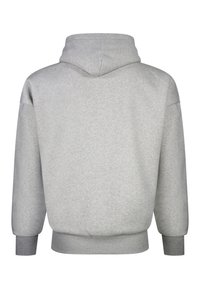 Hellgraues Kapuzensweatshirt von hinten mit langen Ärmeln und gerippten Bündchen und Saum.