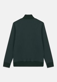 Dunkelgrüner langärmliger Pullover mit geripptem Stehkragen, Bündchen und Saum, von hinten auf weißem Hintergrund gezeigt.