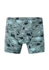 Kraťasy s potiskem dinosaurů v šedé barvě s černými a světle modrými vzory. Mají těsný střih, elastický pas a měkký bavlněný materiál.