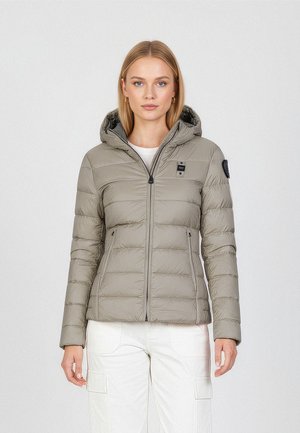CHARME - Daunenjacke - fog grey anthracite grey wbldcaat