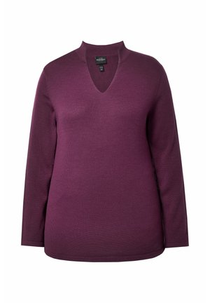 V-Ausschnitt, langärmeliger Pullover in einem satten lila Farbton, mit einer figurbetonten Silhouette und glatter Textur, geeignet für lässige oder geschichtete Outfits.