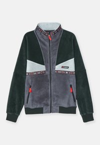 TRAMANTANTA JACKET UNISEX - Flisinė striukė - grey/black