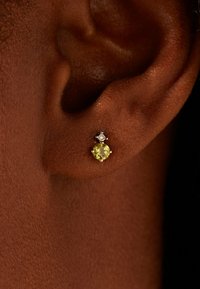 Lucardi CHIC - Oorbellen - gold-coloured