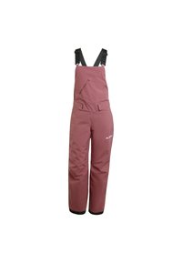 XPERIOR TWO-LAYER INSULATED BIB - Pantaloni da sci - burgundy   white