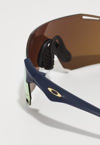 Sports solbriller med brune linser, marineblå ramme, gummipropp for ørene og gullakenter på armen. Lett design med aerodynamisk form.