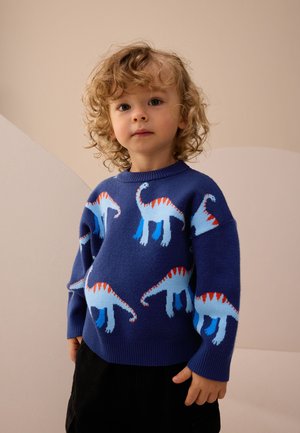 Blauer gestrickter Pullover mit mehrfarbigen Dinosauriermustern und roten Akzenten. Gerippte Bündchen und Saum. Kind trägt schwarze Hose.