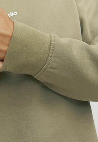 Jack & Jones JORVESTERBRO CREW NECK - Sweater - aloe