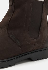 Shepherd KLAS - Klasszikus bokacsizmák - dark brown