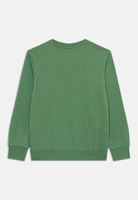 Groene sweatshirt met een ronde hals, lange mouwen en geribbelde manchetten. Gemaakt van zacht materiaal met een gladde textuur. Eenvoudig ontwerp, geen patronen.