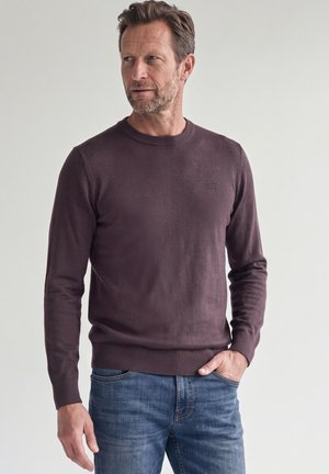 Homme aux cheveux courts et barbe portant un pull violet foncé et un jean bleu, debout avec une main dans la poche, regardant vers la gauche.