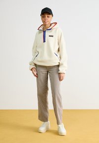 Columbia HELVETIA™ II HOODIE - Fleecetrøjer - chalk