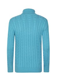 Suéter de punto color azul cielo con un cuello alto. Presenta un patrón de punto trenzado y puños y dobladillo acanalados. La vista trasera muestra un diseño sin costuras.