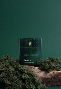 Skandinavisk SKOG SCENTED CANDLE SPECIAL EDITION - Doftljus - forest green
