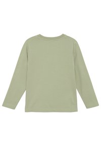 Hellgrünes Langarmshirt mit Rundhalsausschnitt. Glatte Textur, schlichtes Design und gerader Saum. Einfache und ungeschmückte Rückenansicht.