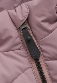 Color Kids Snowboardjacka - woodrose