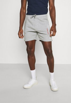 MICKAEL - Trainingsbroek - gris chine