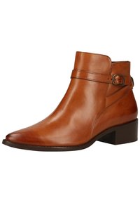 Paul Green Botines bajos - mittelbraun