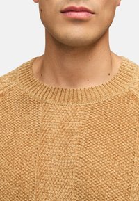 Striktrøje i en varm beige farve, med en ribbet rund halsudskæring og teksturerede mønstre. Blødt materiale med synlige sømdetaljer.
