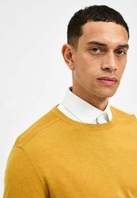 Selected Homme SLHBERG CREW NECK - Jumper - chai tea
