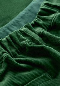 Seasalt Cornwall CRACKINGTON - Kalhoty - green  evergreen