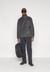 Γκρι φλις πουλόβερ με μισό φερμουάρ, μαύρο cargo παντελόνι, μαύρη τσάντα πλάτης και σκούρα γυαλιά ηλίου. Υφή υφάσματος, casual εξωτερική σχεδίαση.