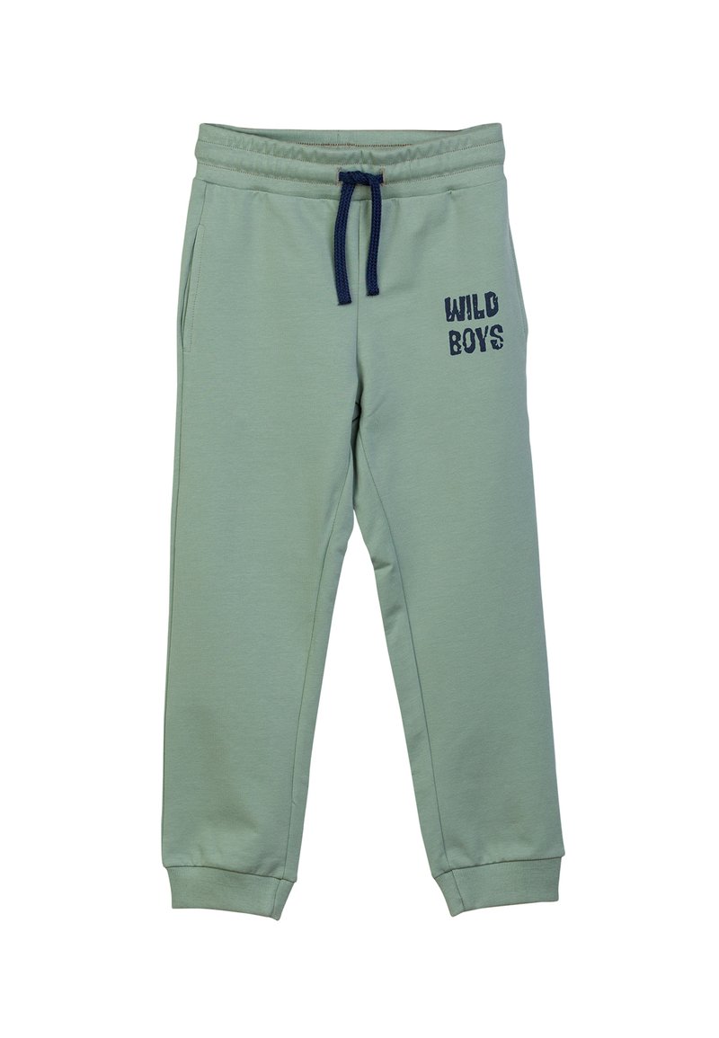 Dino Boys Green Tracksuit Set