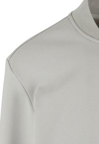 Felpa grigio chiaro con scollatura rotonda a costine e tessuto liscio. Presenta spalle leggermente cadenti e un design minimalista.