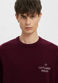 Annarr PULLOVER - Maglione - loganberry