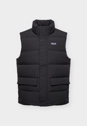 Patagonia, SISAR VEST - Bodywarmer - black