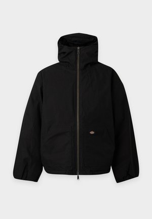 Dickies, SAFFORD HOODED PUFFER - Зимно яке - black