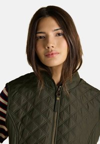 Prešívaná olivovo zelená vesta s vysokým golierom a zipsom. Obsahuje diamantové vzory a jemný lesk. Nosená cez pruhovanú košeľu.