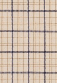 Tessuto beige con un motivo a quadri navy e tan, caratterizzato da linee sottili e una texture intrecciata. Design a griglia con incroci equidistanti.