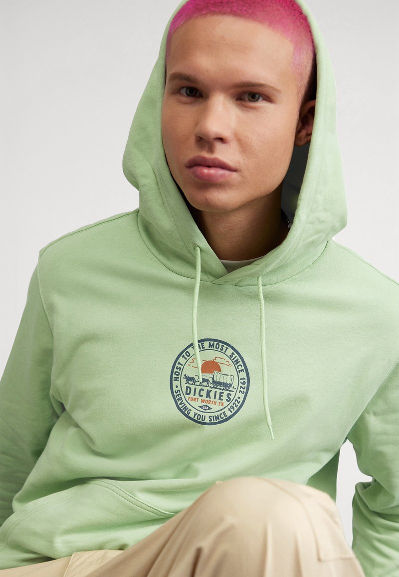 Dickies GREENSBURG Sweat à capuche quiet green/vert clair ZALANDO.FR