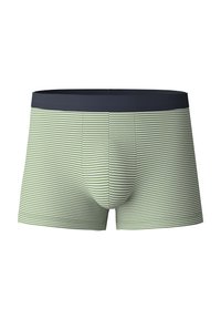 Calida NEW 3ER-PACK - Trunks - clover green