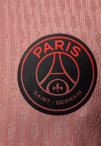 Nike Performance PARIS ST GERMAIN NIKE ADV JERSEY SHORT SLEEVES MATCH THIRD - Futbola krekls - rust pink black