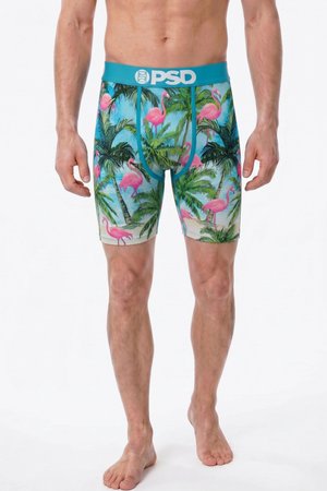 PSD, PSD BOXERSHORTS 3 PACK SURF CITY. - Boxershort - multi