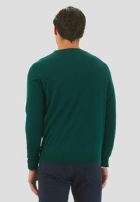 Groene gebreide trui met lange mouwen, ronde hals, zachte textuur en geribde manchetten en zoom. Eenvoudig ontwerp zonder patronen of versieringen.