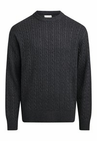 LIAM REGULAR FIT - Pulover - dark grey