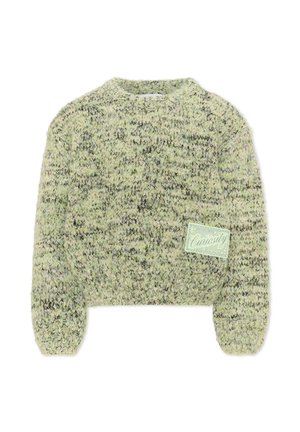 Pull épais à manches longues en vert et gris mêlé, col rond et un patch en bas à droite avec l'inscription "Curiosity."