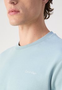 Gaiši zils kokvilnas T-krekls ar apaļu kakla izgriezumu un īsām piedurknēm, uz krūšu daļas ar izšūtu balto "Calvin Klein" logotipu.