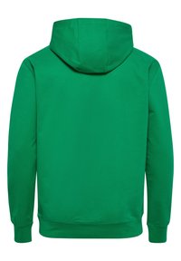 Felpa verde con una texture morbida, dotata di cappuccio, maniche lunghe e polsini e orlo a coste. La vista posteriore mostra un tessuto liscio e uniforme.